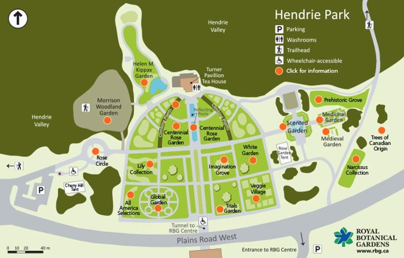 Mapa Hendry Park РБГ 