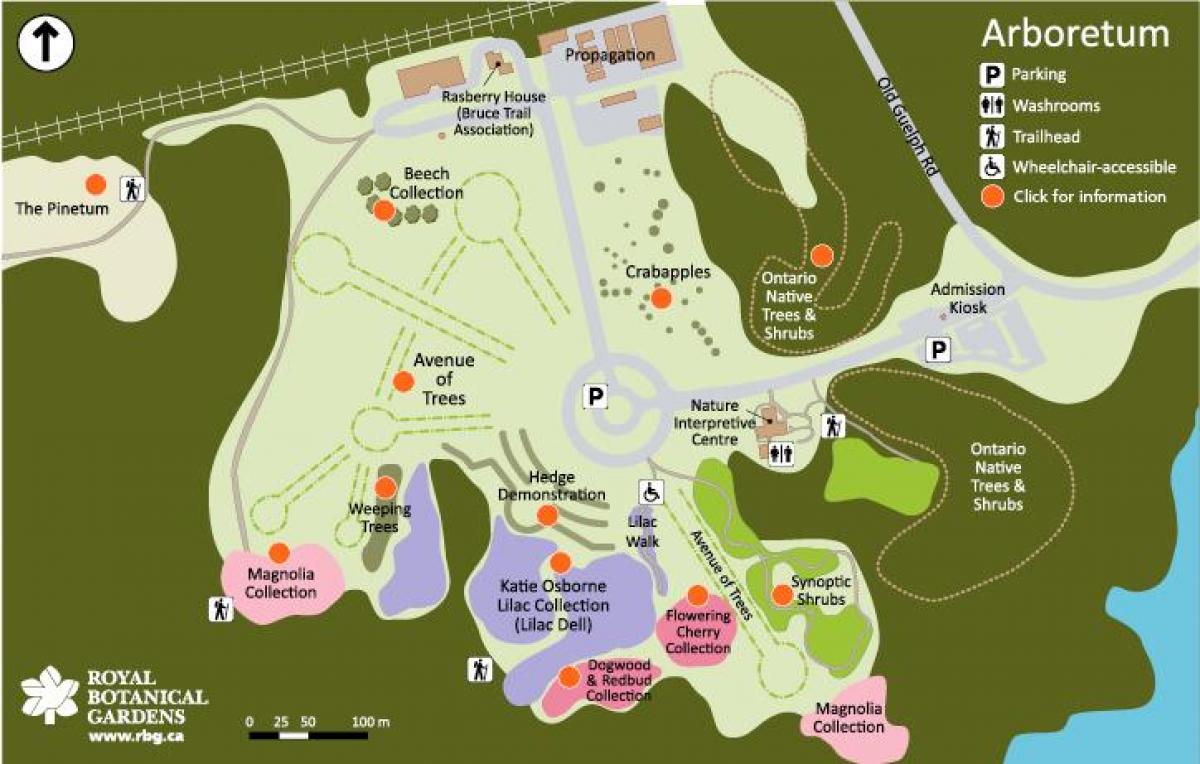 Mapa Arboretum РБГ 