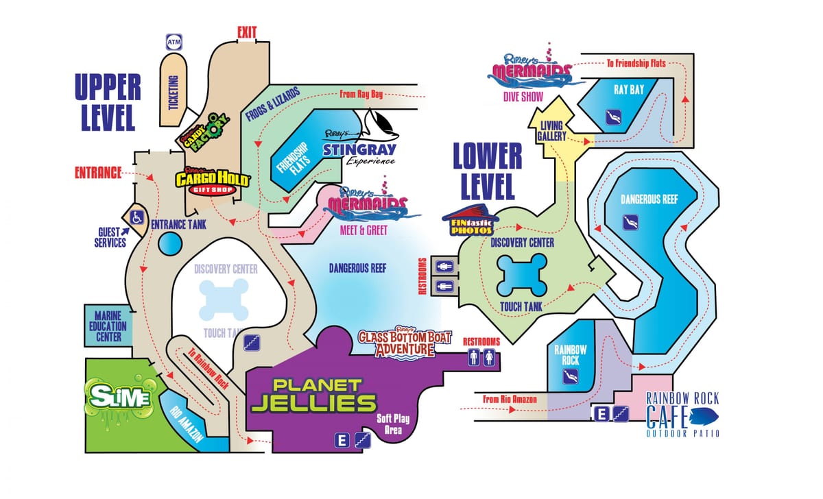 Mapa риплиз akwarium