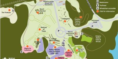 Mapa Arboretum РБГ 