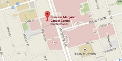 Mapa Księżniczka Margaret cancer Center w Toronto
